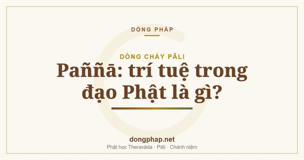 Paññā: trí tuệ trong đạo Phật là gì?