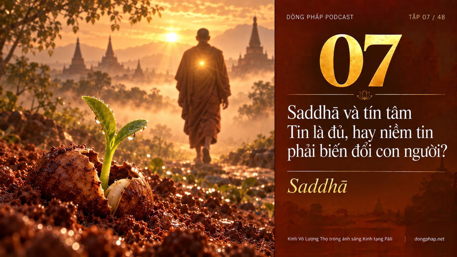 Ảnh bìa Tập 7: Saddhā và tín tâm: Tin là đủ, hay niềm tin phải biến đổi con người? — Dòng Pháp Podcast
