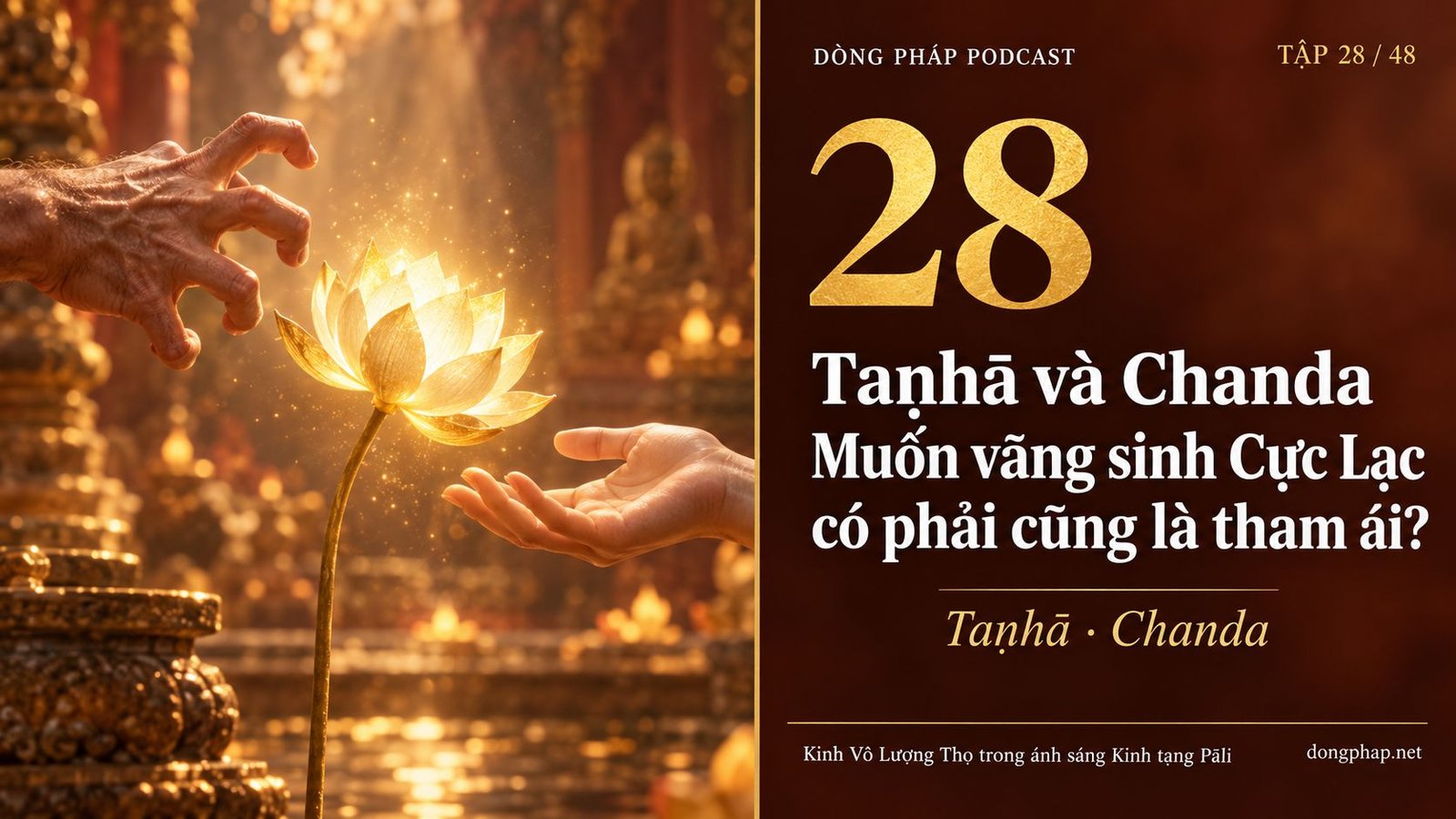 Ảnh bìa Tập 28: Taṇhā và Chanda: Muốn vãng sinh Cực Lạc có phải cũng là tham ái? — Dòng Pháp Podcast