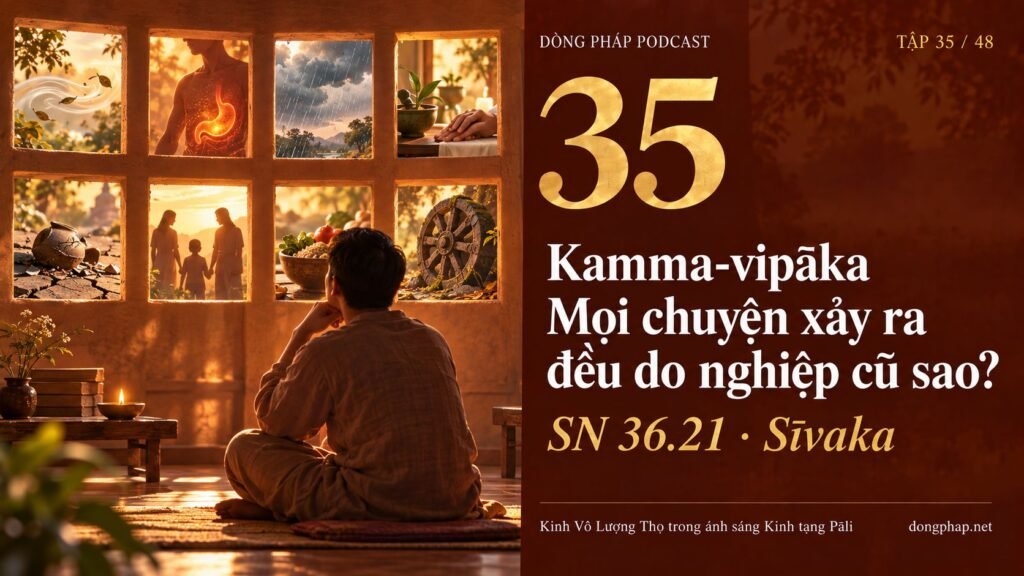 EP35 compressed