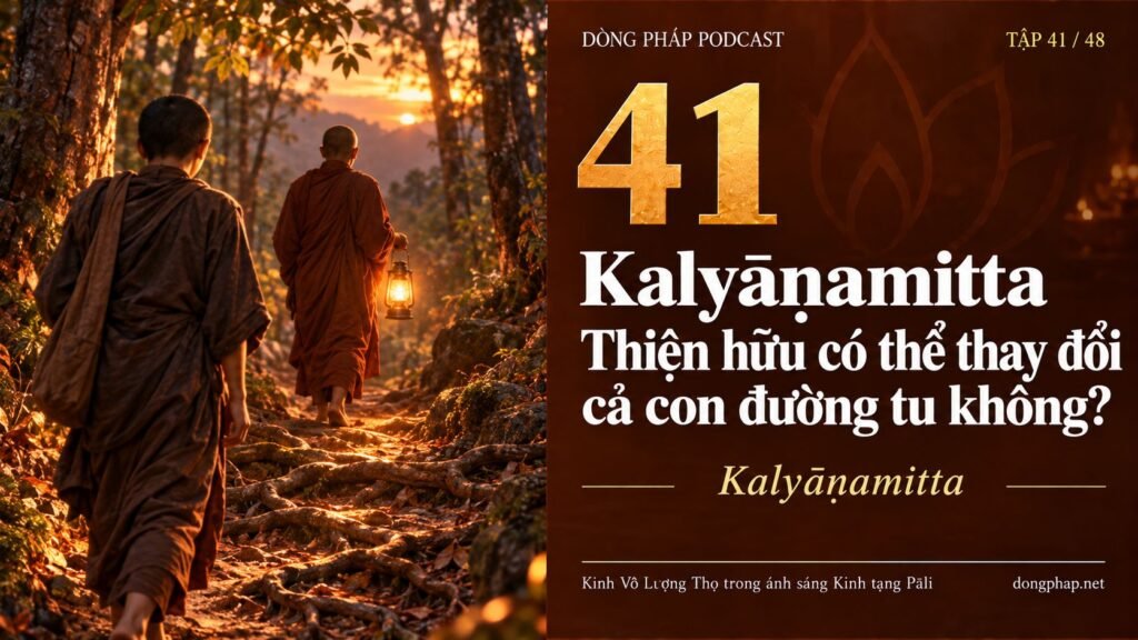 EP41 compressed