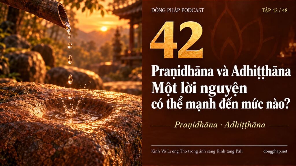 EP42 compressed