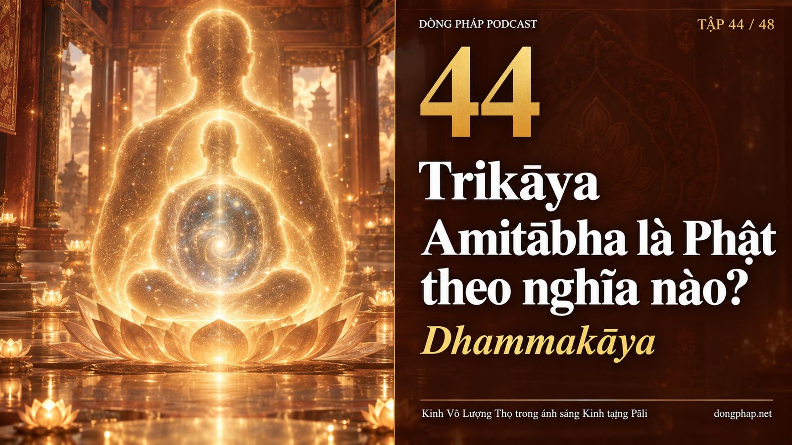 Ảnh bìa Tập 44: Trikāya: Amitābha là Phật theo nghĩa nào? — Dòng Pháp Podcast
