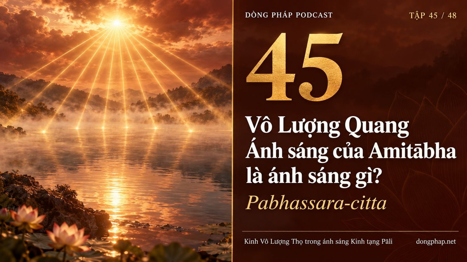 Ảnh bìa Tập 45: Vô Lượng Quang: Ánh sáng của Amitābha là ánh sáng gì? — Dòng Pháp Podcast