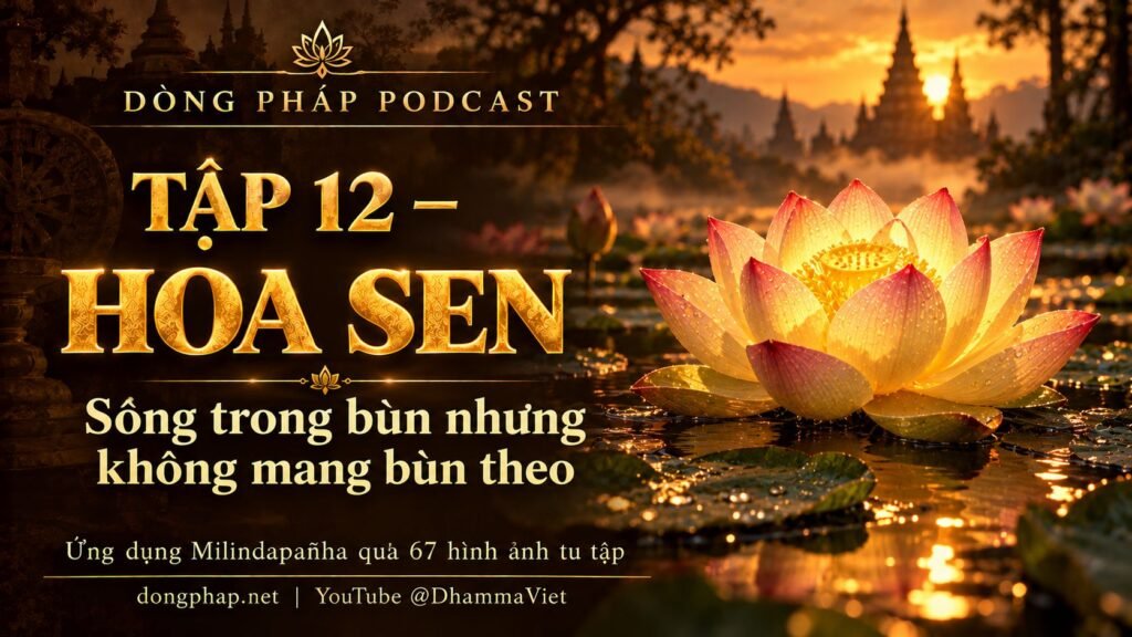 Ảnh bìa Tập 12 – Hoa sen: sống trong bùn nhưng không cần mang bùn theo | Ứng dụng Milindapañha qua 67 hình ảnh tu tập – Dòng Pháp Podcast