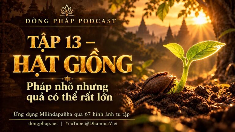 Ảnh bìa Tập 13 – Hạt giống: pháp nhỏ nhưng quả có thể rất lớn | Ứng dụng Milindapañha qua 67 hình ảnh tu tập – Dòng Pháp Podcast