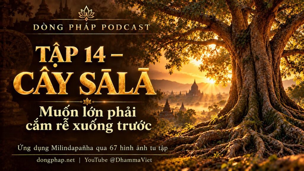 Ảnh bìa Tập 14 – Cây sālā: muốn lớn phải cắm rễ xuống trước | Ứng dụng Milindapañha qua 67 hình ảnh tu tập – Dòng Pháp Podcast