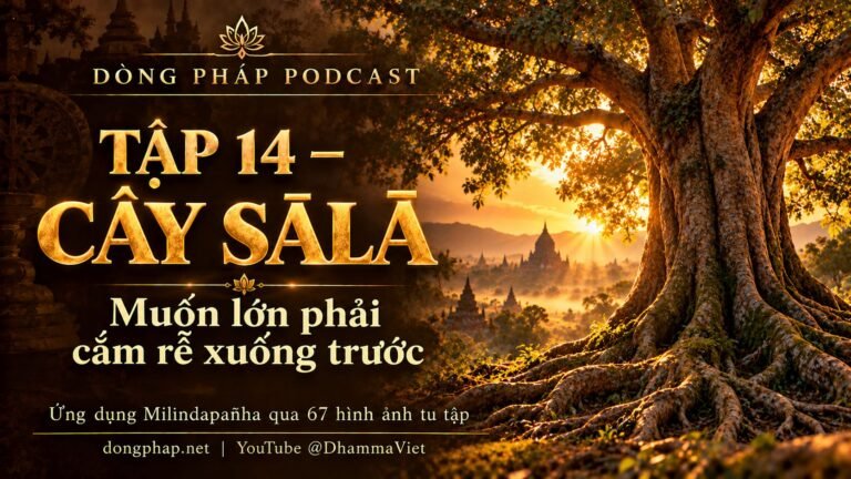 Ảnh bìa Tập 14 – Cây sālā: muốn lớn phải cắm rễ xuống trước | Ứng dụng Milindapañha qua 67 hình ảnh tu tập – Dòng Pháp Podcast