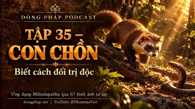 Ảnh bìa Tập 35 – Con chồn: biết cách đối trị độc | Ứng dụng Milindapañha qua 67 hình ảnh tu tập – Dòng Pháp Podcast