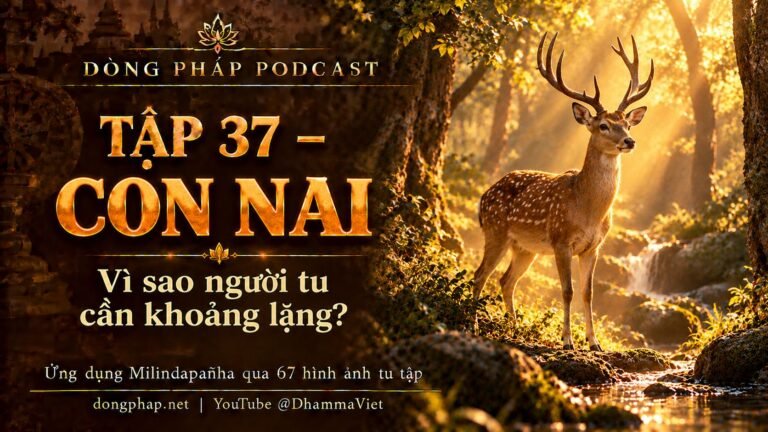 Ảnh bìa Tập 37 – Con nai: tại sao người tu cần khoảng lặng? | Ứng dụng Milindapañha qua 67 hình ảnh tu tập – Dòng Pháp Podcast