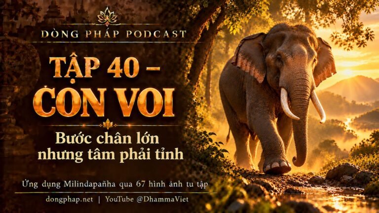 Ảnh bìa Tập 40 – Con voi: bước chân lớn nhưng tâm phải tỉnh | Ứng dụng Milindapañha qua 67 hình ảnh tu tập – Dòng Pháp Podcast