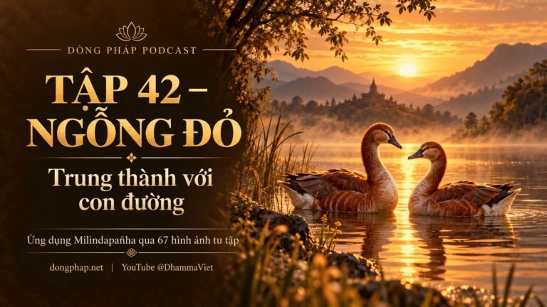 Ảnh bìa Tập 42 – Ngỗng đỏ: trung thành với con đường | Ứng dụng Milindapañha qua 67 hình ảnh tu tập – Dòng Pháp Podcast