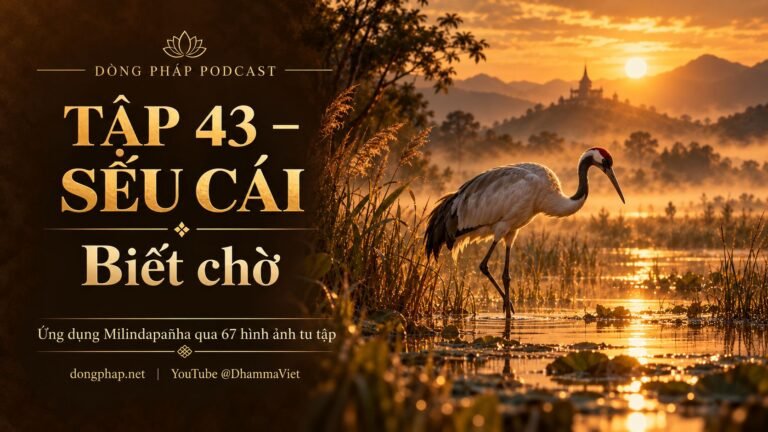 Ảnh bìa Tập 43 – Sếu cái: biết chờ | Ứng dụng Milindapañha qua 67 hình ảnh tu tập – Dòng Pháp Podcast
