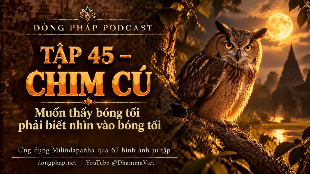 Ảnh bìa Tập 45 – Chim cú: muốn thấy bóng tối phải biết nhìn vào bóng tối | Ứng dụng Milindapañha qua 67 hình ảnh tu tập – Dòng Pháp Podcast