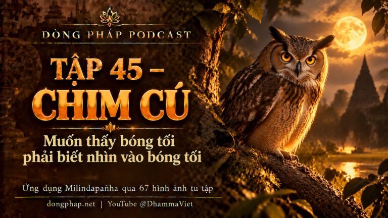 Ảnh bìa Tập 45 – Chim cú: muốn thấy bóng tối phải biết nhìn vào bóng tối | Ứng dụng Milindapañha qua 67 hình ảnh tu tập – Dòng Pháp Podcast