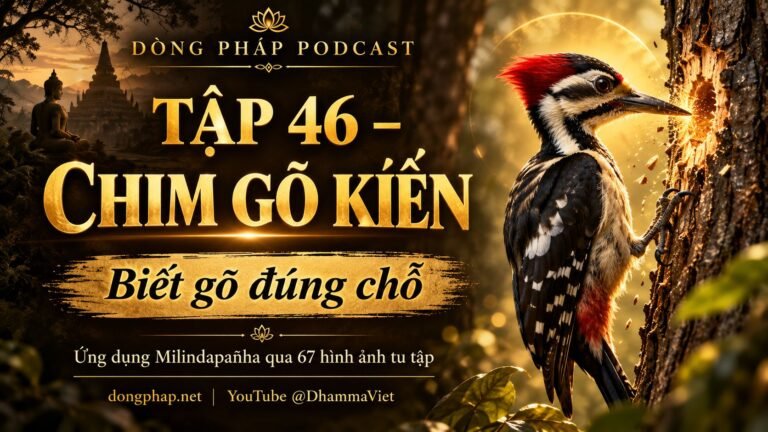 Ảnh bìa Tập 46 – Chim gõ kiến: biết gõ đúng chỗ | Ứng dụng Milindapañha qua 67 hình ảnh tu tập – Dòng Pháp Podcast