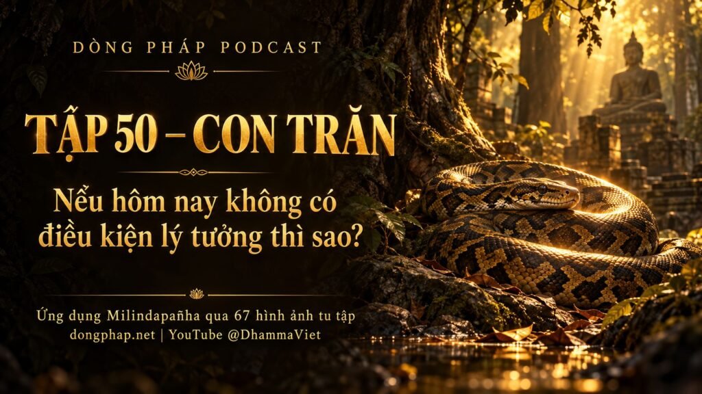 Ảnh bìa Tập 50 – Con trăn: nếu hôm nay không có điều kiện lý tưởng thì sao? | Ứng dụng Milindapañha qua 67 hình ảnh tu tập – Dòng Pháp Podcast