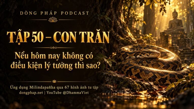 Ảnh bìa Tập 50 – Con trăn: nếu hôm nay không có điều kiện lý tưởng thì sao? | Ứng dụng Milindapañha qua 67 hình ảnh tu tập – Dòng Pháp Podcast