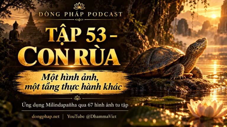 Ảnh bìa Tập 53 – Con rùa lần nữa: một hình ảnh, một tầng thực hành khác | Ứng dụng Milindapañha qua 67 hình ảnh tu tập – Dòng Pháp Podcast
