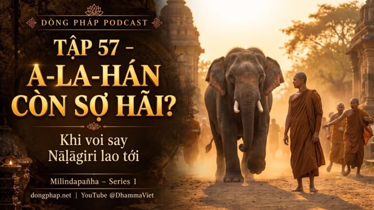 Ảnh bìa Tập 57 – A-la-hán có còn sợ hãi? | Milindapañha – Milinda Vấn Đạo – Dòng Pháp Podcast