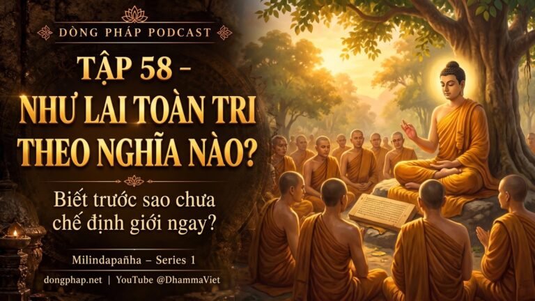 Ảnh bìa Tập 58 – Đức Như Lai toàn tri theo nghĩa nào? | Milindapañha – Milinda Vấn Đạo – Dòng Pháp Podcast