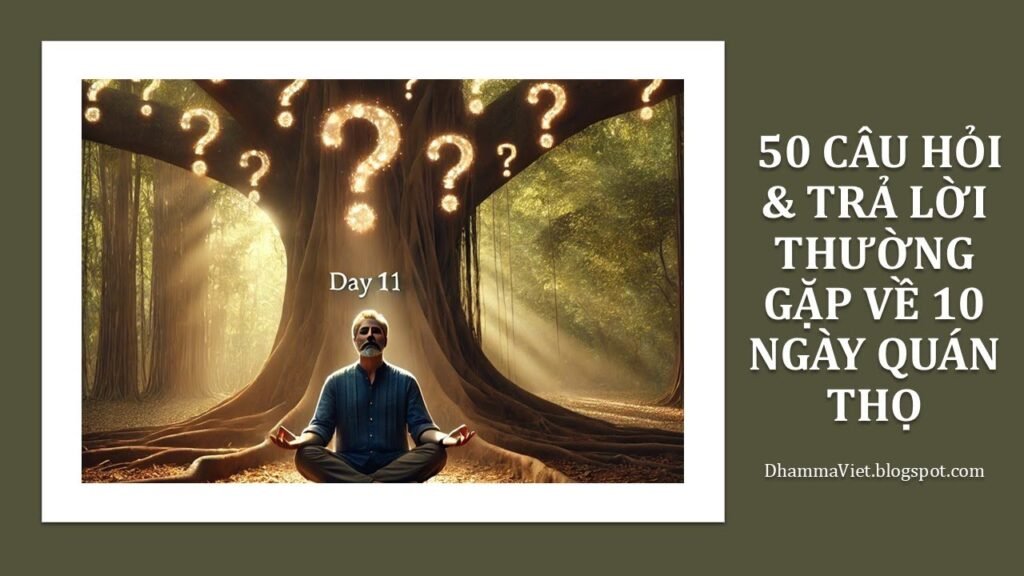 50 Câu Hỏi Thường Gặp Về 10 Ngày Quán Thọ – Vedanānupassanā Cắt Đứt Chuỗi Tham Sân Si
