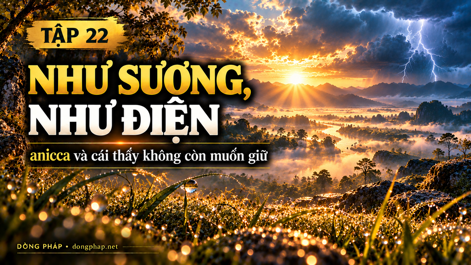 Ảnh bìa Tập 22 – Như sương, như điện – Anicca và cái thấy không còn muốn giữ | Kinh Kim Cương trong ánh sáng Kinh tạng Pāli – Dòng Pháp Podcast