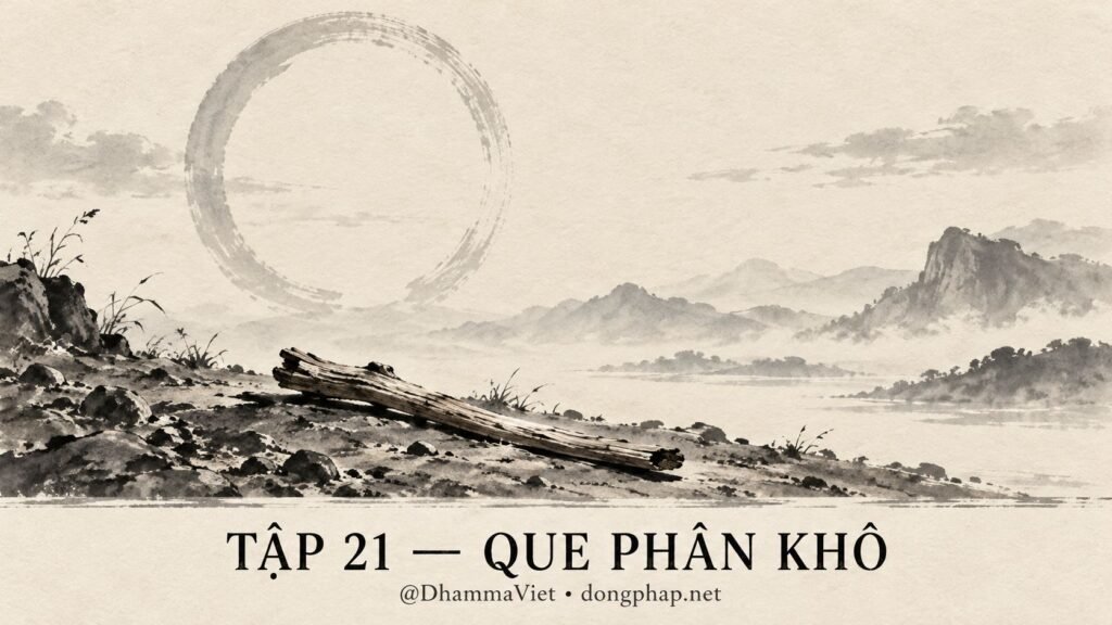Ảnh bìa Tập 21 – Que phân khô – Hỏi Phật là gì, sao lại nhận một câu trả lời gây sốc? | Vô Môn Quan trong ánh sáng Kinh tạng Pāli – Dòng Pháp Podcast