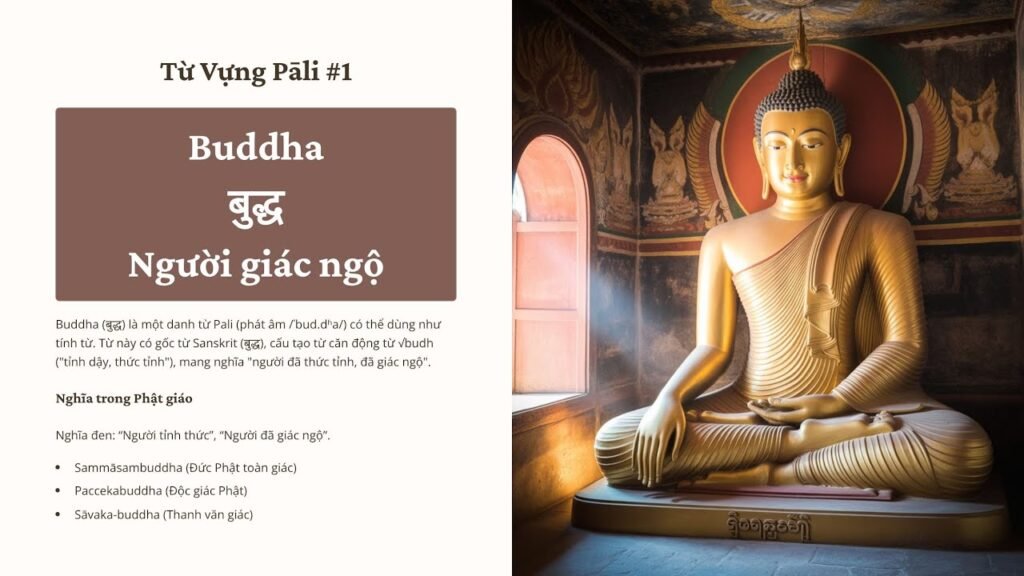 BUDDHA Là Gì? Bậc Đã Thức Tỉnh Trong Tiếng Pāli