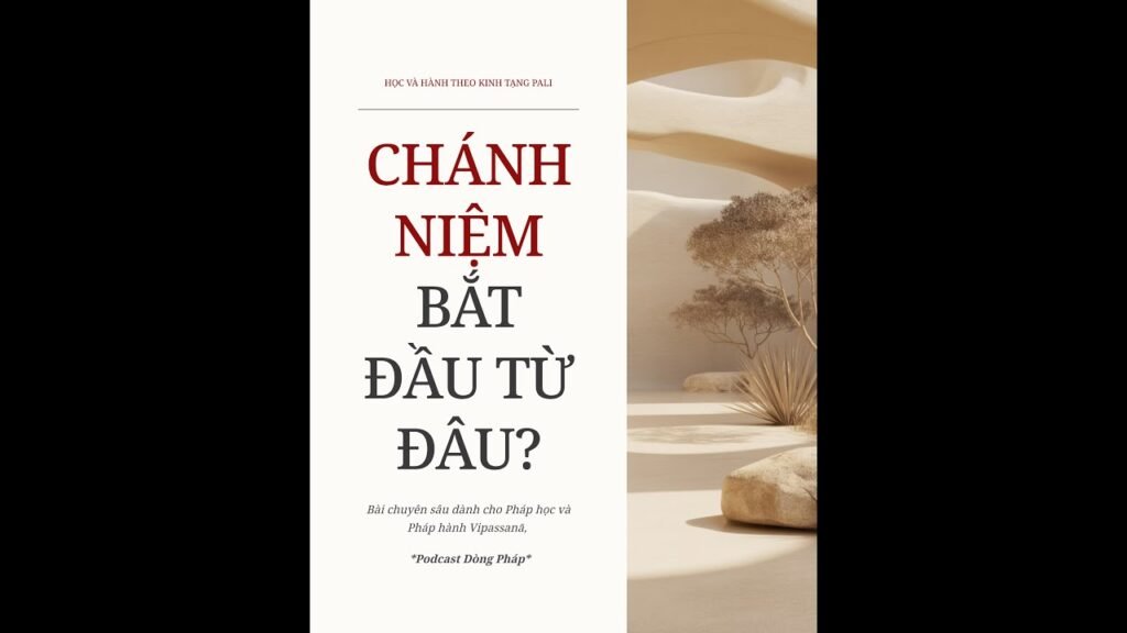 Chánh Niệm Bắt Đầu Từ Đâu? – Tỉnh Thức Và Không Quên Chính Mình