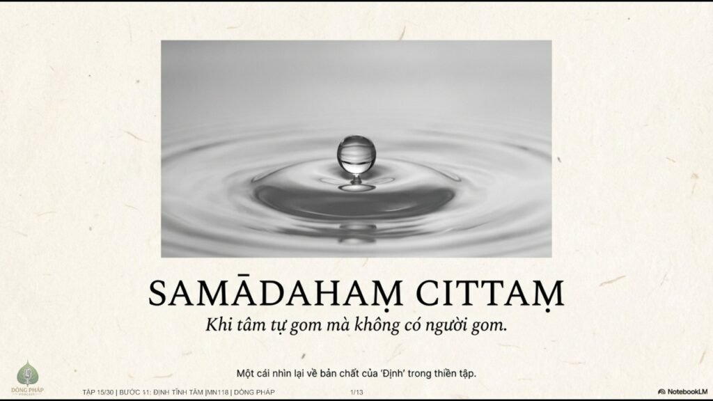 Quán Niệm Hơi Thở Tập 15 – Bước 11: Định Tĩnh Tâm (Samādahaṃ Cittaṃ) – Khi Tâm Tự Gom Mà Không Có Người Gom