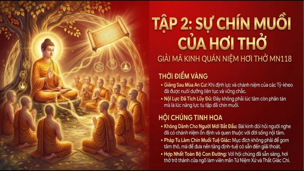 Kinh Quán Niệm Hơi Thở Tập 2: Sự Chín Muồi Của Hơi Thở – Vì Sao Đức Phật Chờ Đúng Thời Điểm (MN 118)