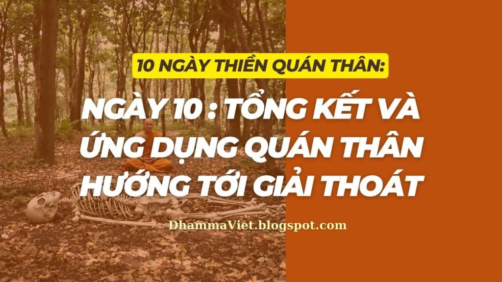 Quán Thân Ngày 10: Tổng Kết Và Ứng Dụng Quán Thân Hướng Tới Giải Thoát