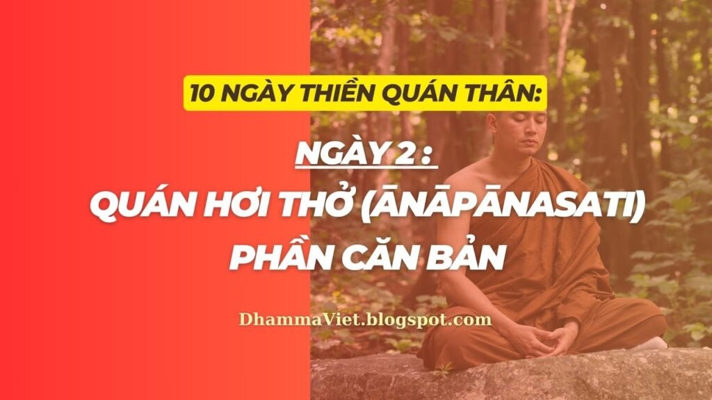 Quán Thân Ngày 2: Quán Hơi Thở (Ānāpānasati) Phần Căn Bản – Bốn Bước Đầu Trong Kinh Niệm Xứ