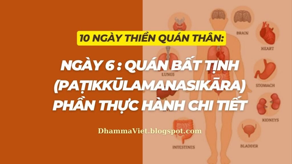 Quán Thân Ngày 6: Quán Bất Tịnh – Thực Hành Chi Tiết 32 Thể Trược Và Cách Vượt Chướng Ngại