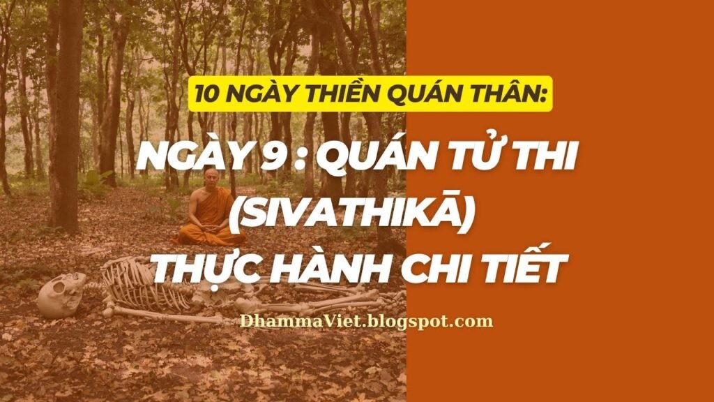 Quán Thân Ngày 9: Quán Tử Thi (Sivathikā) – Thực Hành Chi Tiết Và Giữ Tâm Quân Bình
