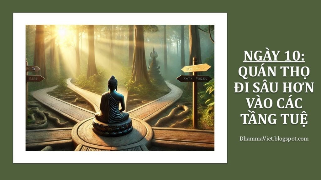 Quán Thọ Ngày 10: Kết Thúc Để Bắt Đầu – Quán Thọ Là Chìa Khóa Tiến Vào Các Tầng Tuệ Giải Thoát