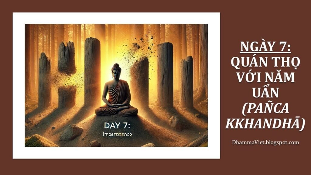 Quán Thọ Ngày 7: Thọ Trong Năm Uẩn – Thấy Vô Thường, Khổ, Vô Ngã Qua Cảm Giác