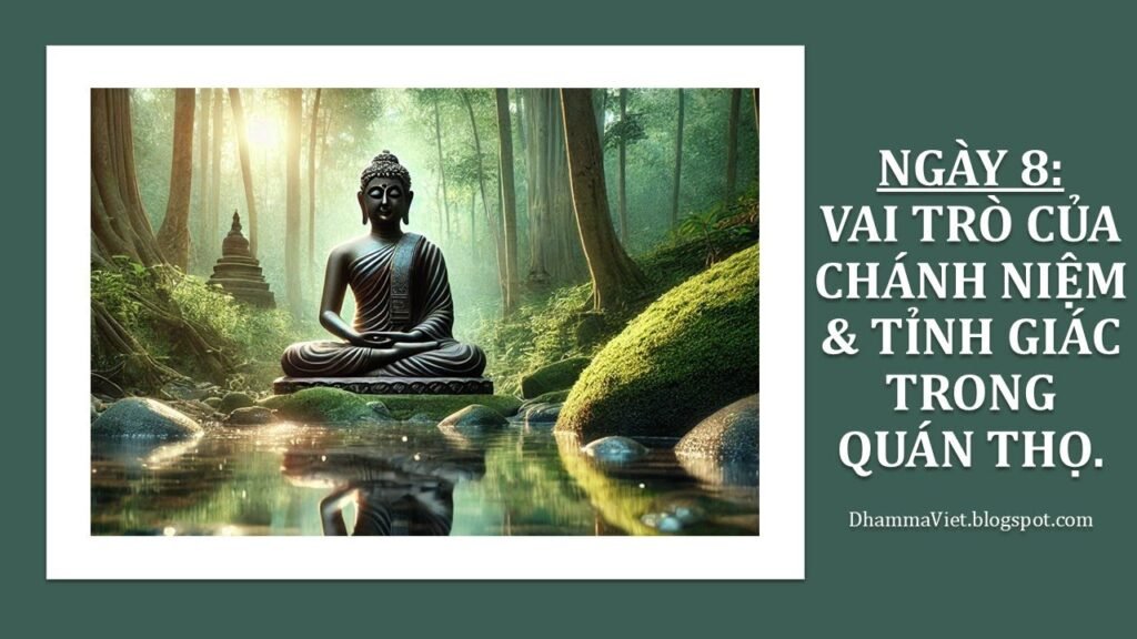 Quán Thọ Ngày 8: Chánh Niệm Và Tỉnh Giác – Chìa Khóa Để Quán Thọ Không Chống Đối, Không Dính Mắc