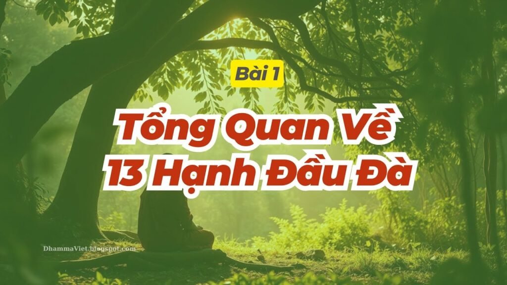 Tổng Quan 13 Hạnh Đầu Đà (Dhutaṅga) Theo Thanh Tịnh Đạo – Gột Rửa Tâm Bằng Đời Sống Giản Dị