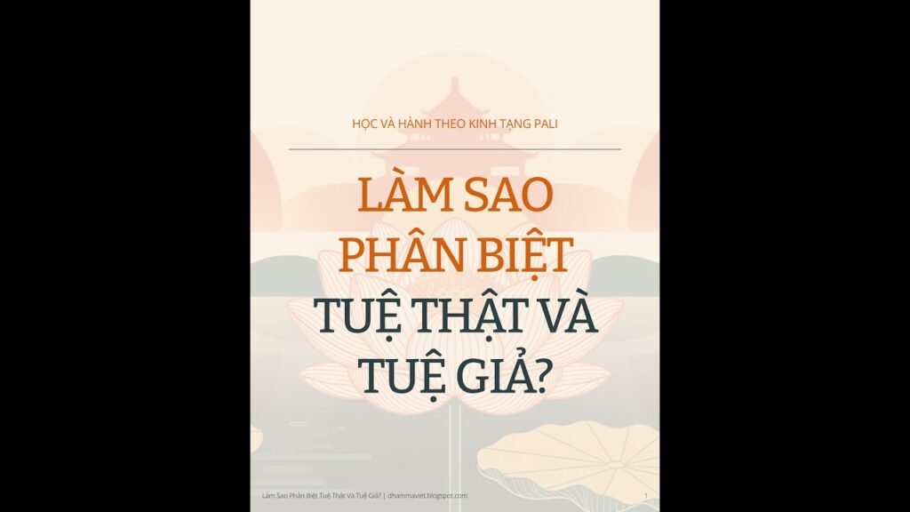 Tuệ Thật Và Tuệ Giả: Dấu Hiệu Nhận Diện Đúng Theo Kinh Tạng Pāli