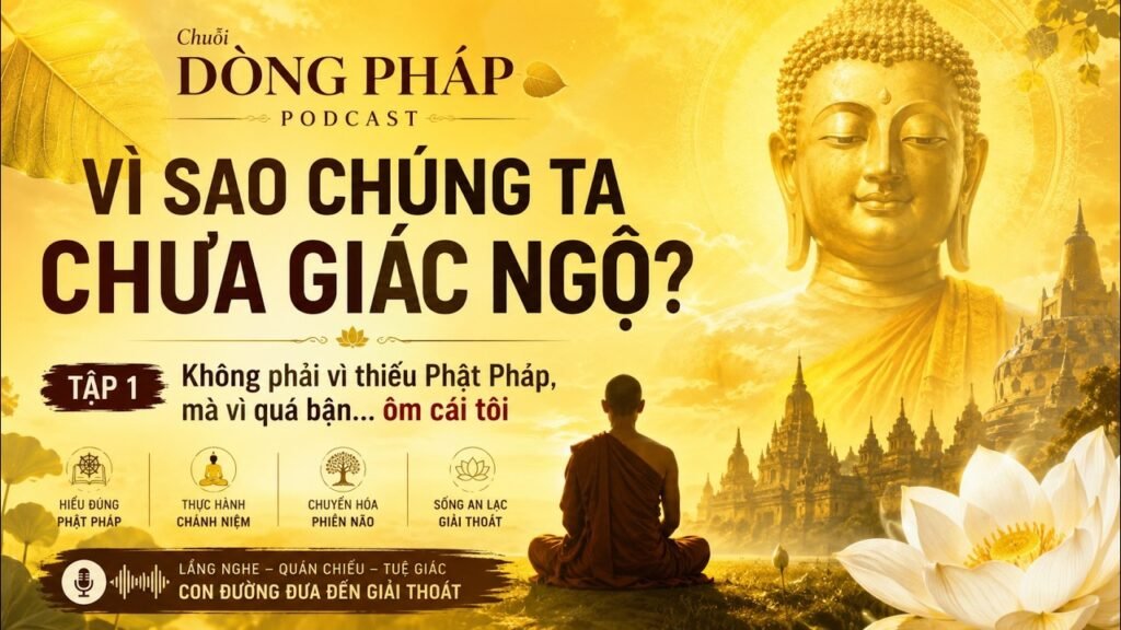 Vì Sao Chúng Ta Chưa Giác Ngộ? Tập 1: Không Phải Vì Thiếu Phật Pháp, Mà Vì Quá Bận Ôm Cái Tôi