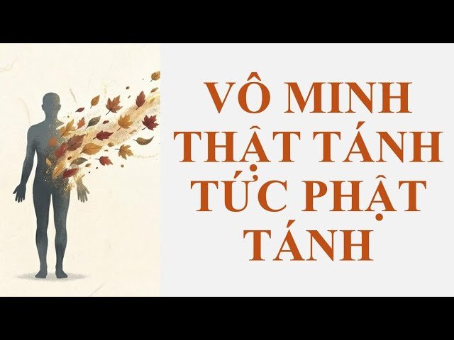 “Vô Minh Thật Tánh Tức Phật Tánh”: Hiểu Đúng Bốn Câu Kệ Chứng Đạo Ca Qua Nikāya Và Abhidhamma